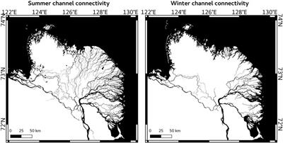 Serpentine (Floating) Ice Channels and their Interaction with Riverbed Permafrost in the Lena River Delta, Russia